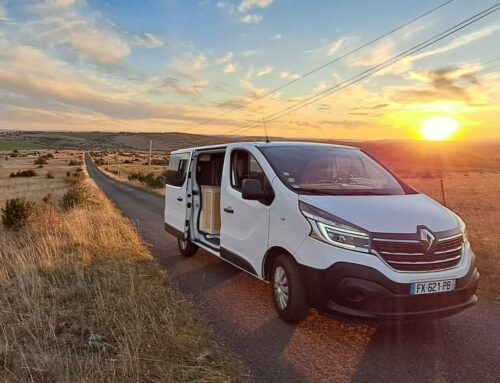 Renault Trafic 3 – 2.0l – 145cv – 2021- 30 700 km – 32 890 euros TTC